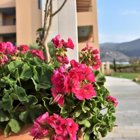 Apart-hotel Golden Bay 3*